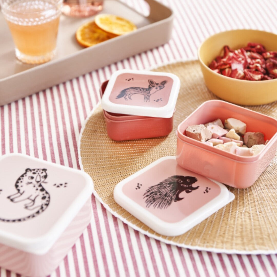 Drie petit monkey snackdoosjes met dierenillustraties gevuld met snacks op een gestreepte placemat.