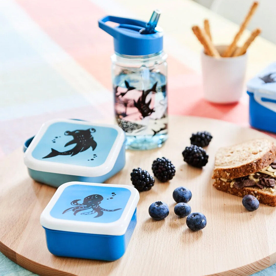 Twee blauwe Petit Monkey snackdoosjes met zeedieren, gevuld met fruit en een broodje, naast een waterfles.