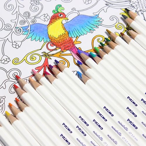 Een close-up van Primo Minabella kleurpotloden die op een ingekleurde tekening van een vogel liggen.