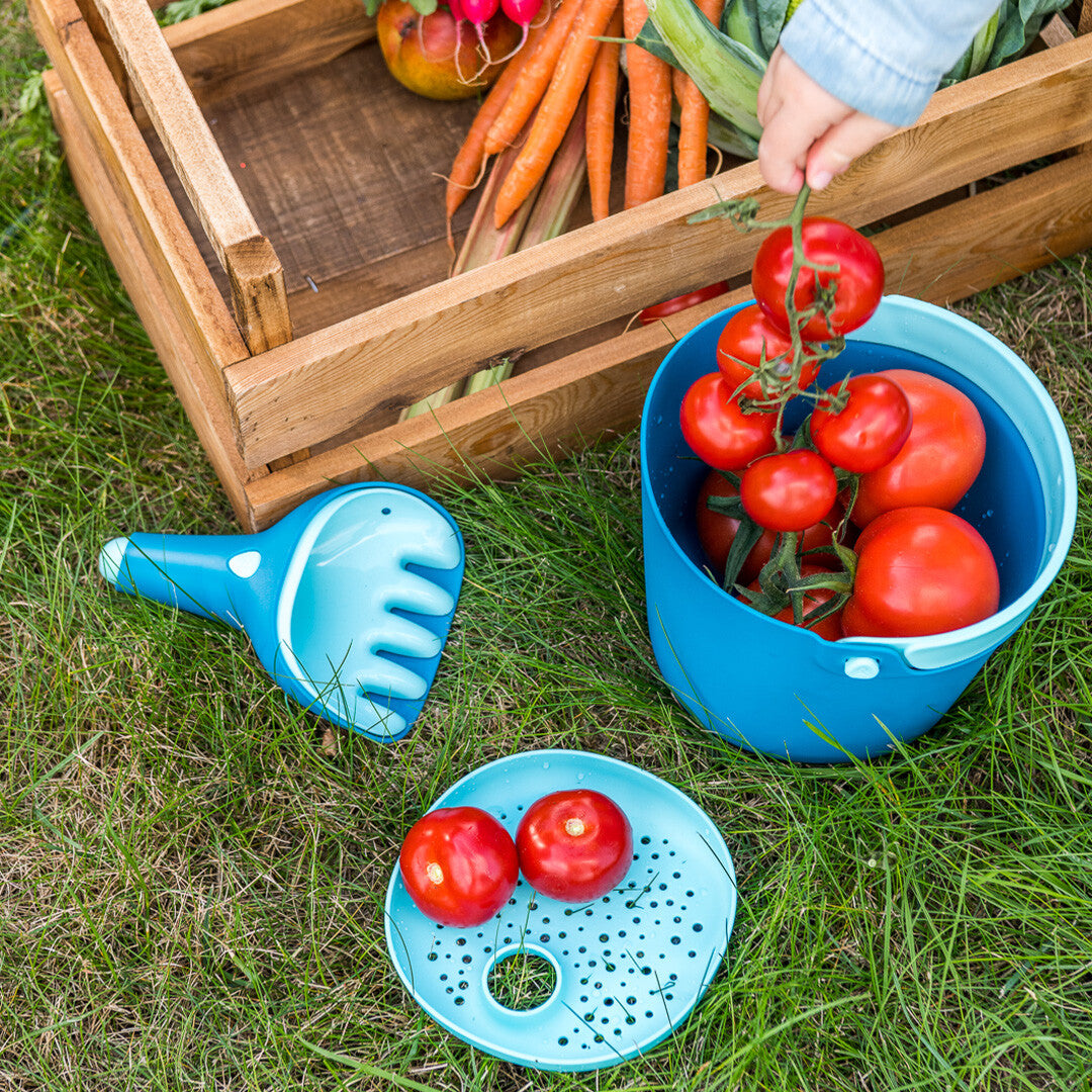 Quut blauwe emmer met tomaten, een zeef met tomaten en een blauwe handhark liggen op het gras naast een krat groenten.