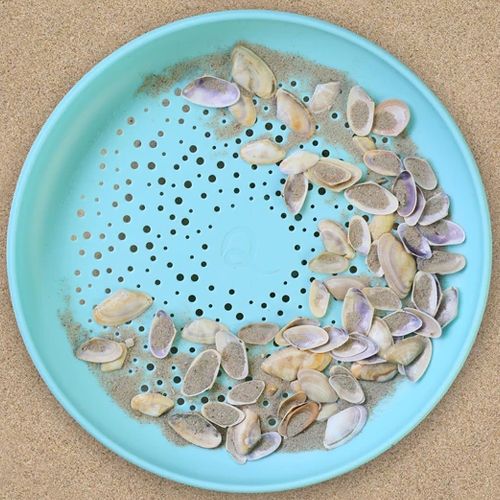 Quut blauwe zandzeef gevuld met zand en schelpen op een zanderige ondergrond.