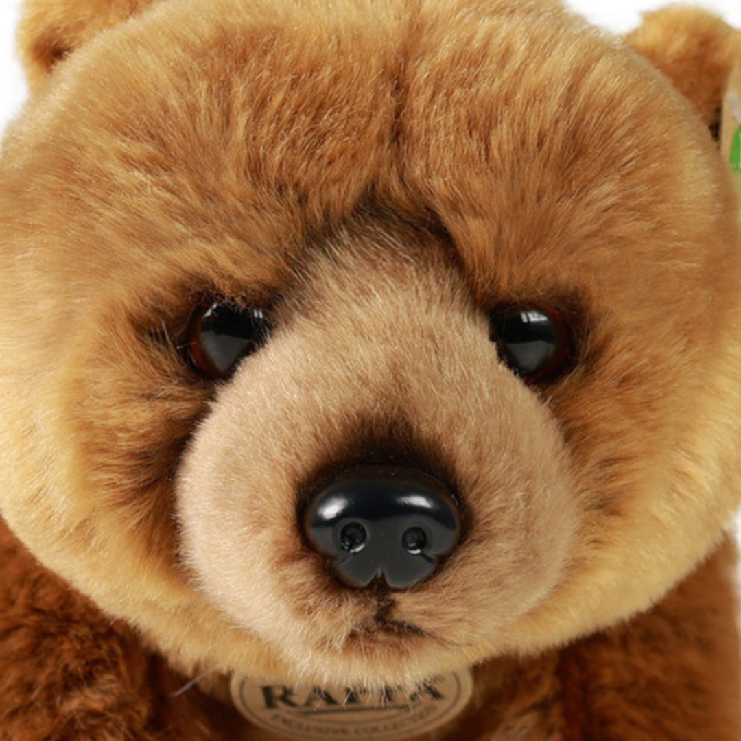 Close-up van het gezicht van de Rappa pluchen grizzlybeer.