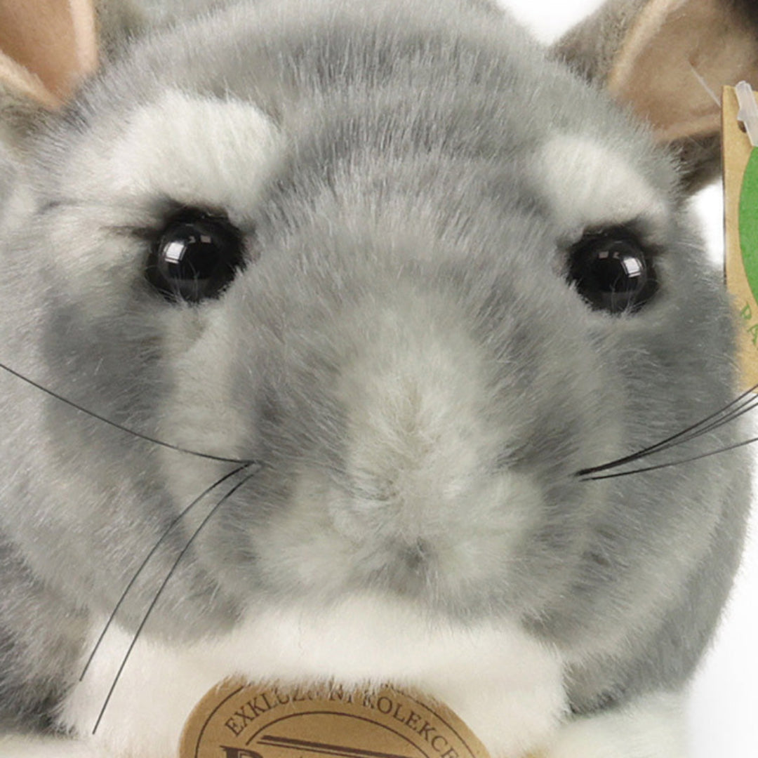 Close-up van het gezicht van de Rappa pluchen chinchilla, met ogen en snorharen.