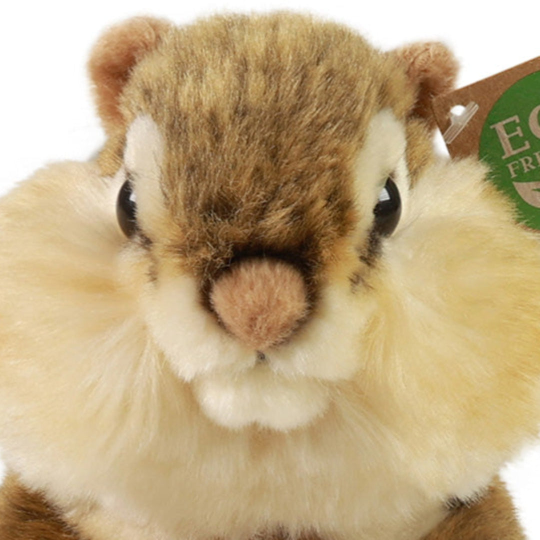 Detailopname van het gezicht van de Rappa pluchen eekhoorn knuffel.