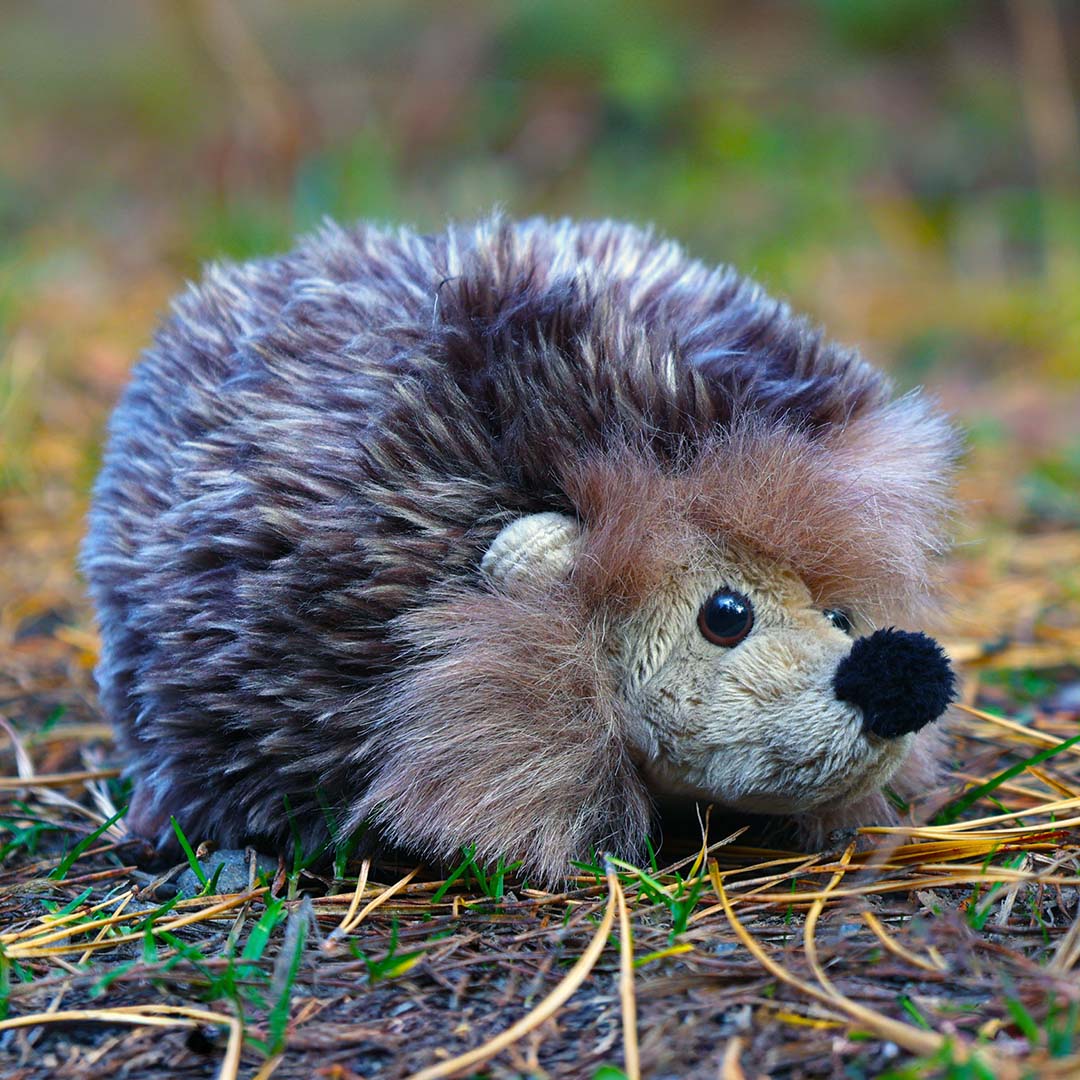 Pluchen egel knuffel op de grond tussen gras en dennennaalden.