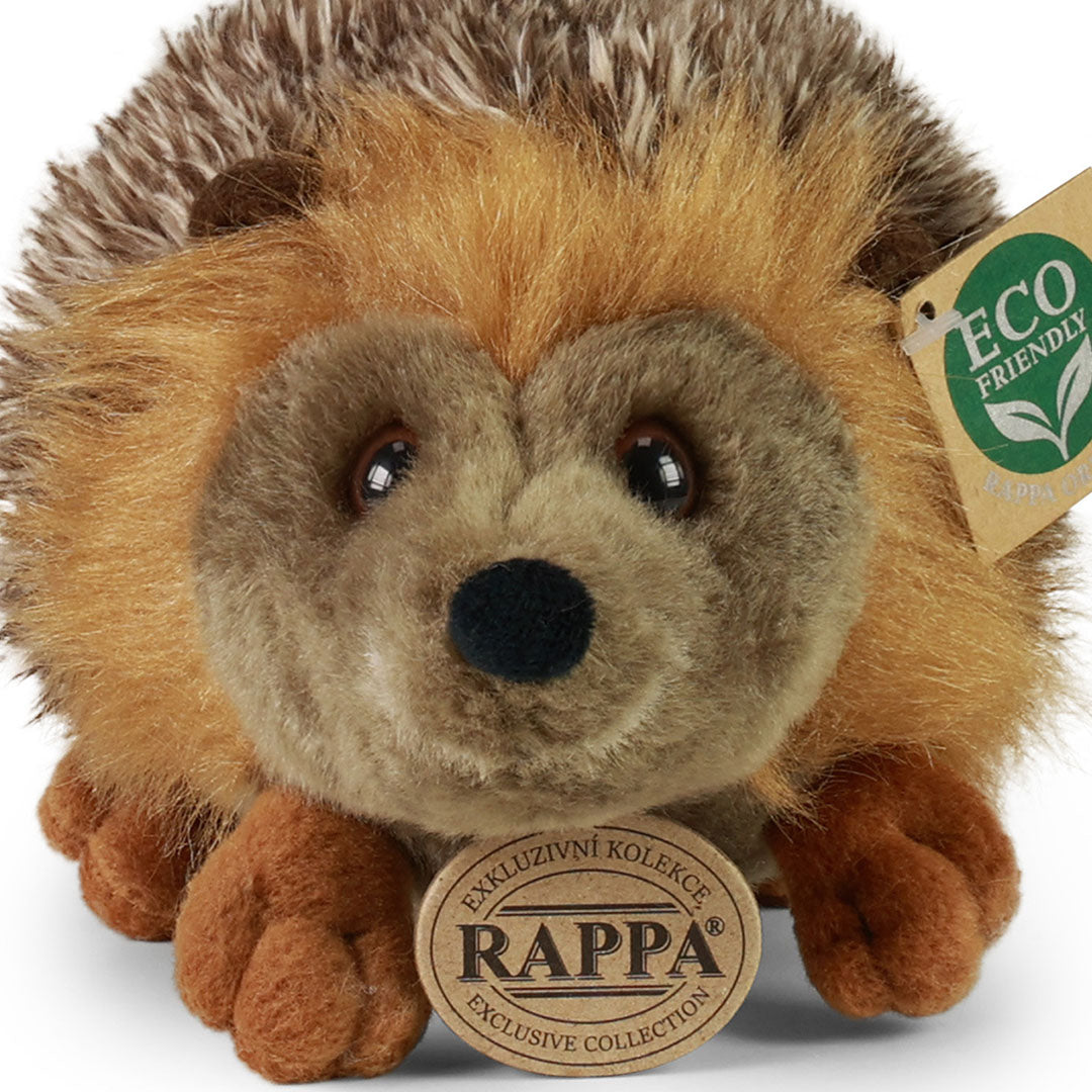 Close-up van de voorkant van de Rappa pluchen egel knuffel met zicht op de ogen en neus.