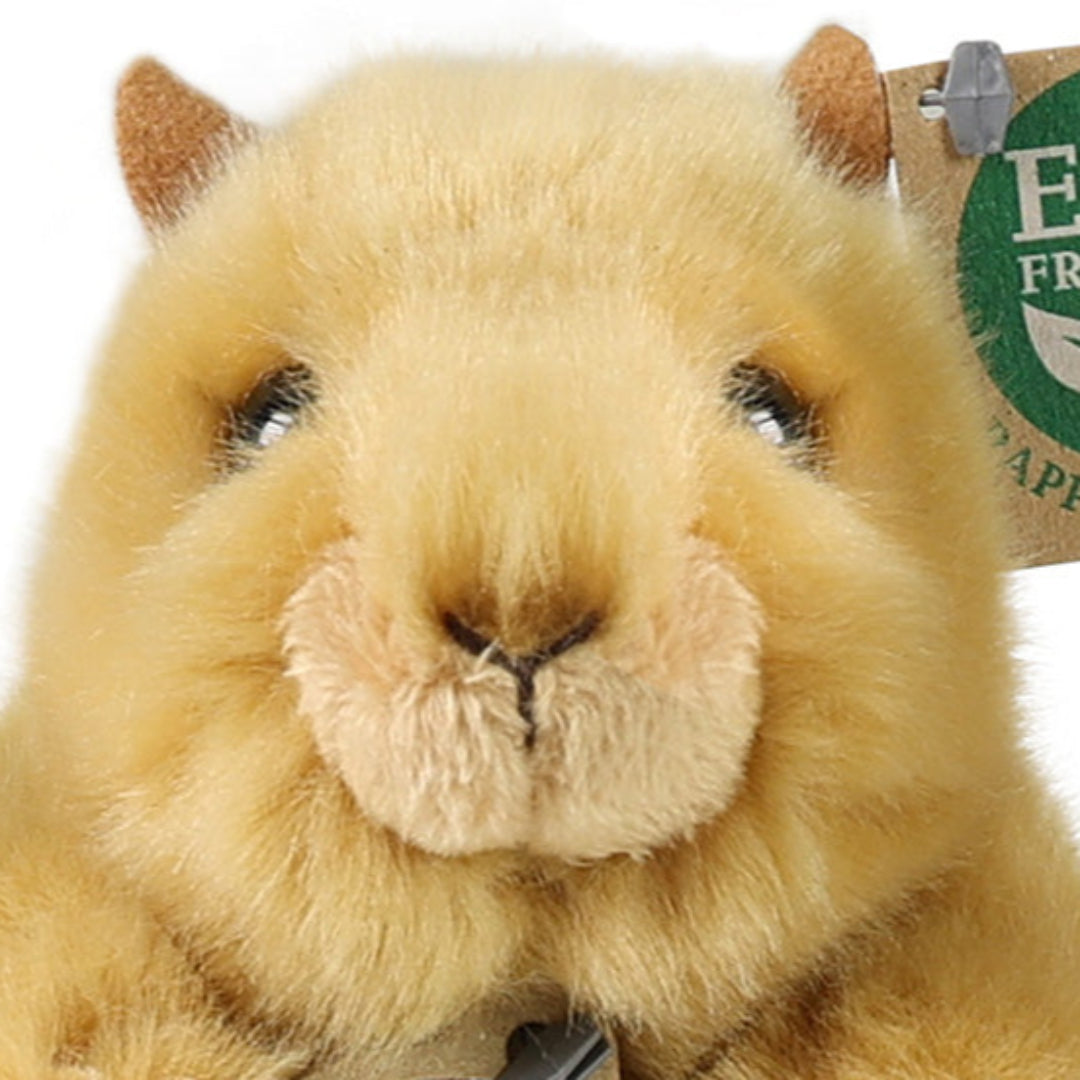 Close-up van de kop van de Rappa pluchen hamster met een deel van het label zichtbaar.