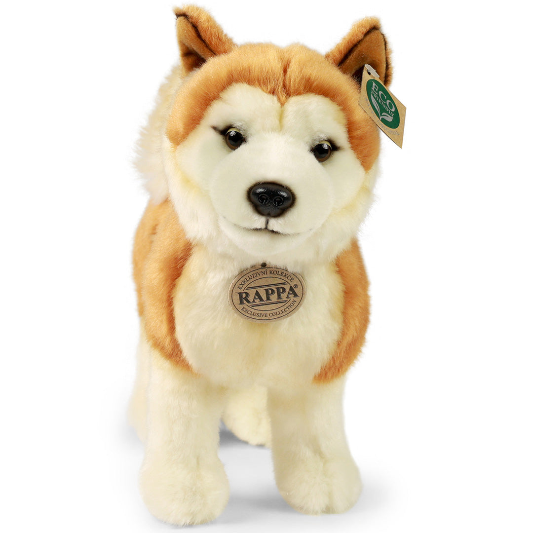 Rappa pluchen Akita Inu hond, bruin en wit, recht van voren gefotografeerd.