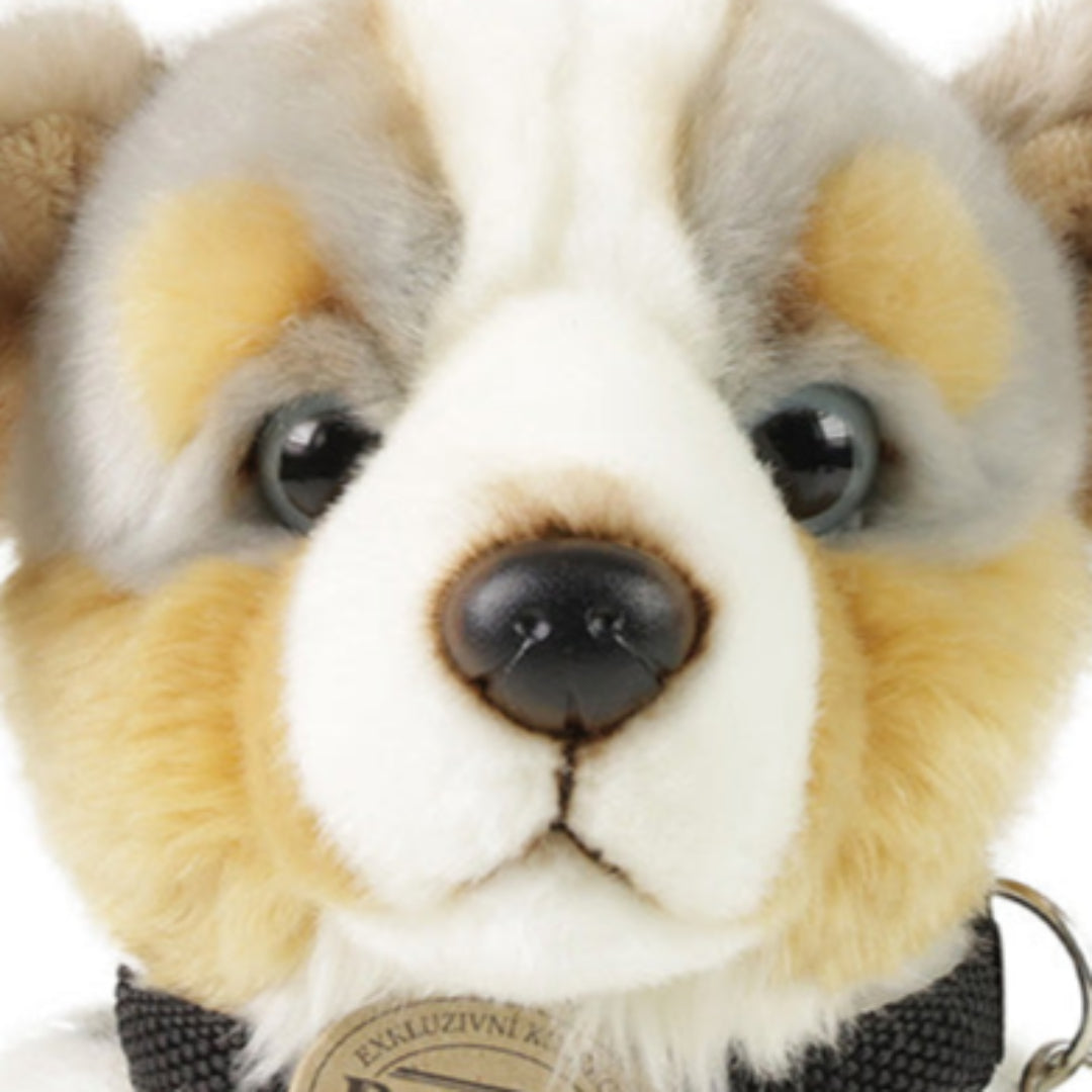 Detailopname van het gezicht van de Rappa pluchen Australian Shepherd hond.