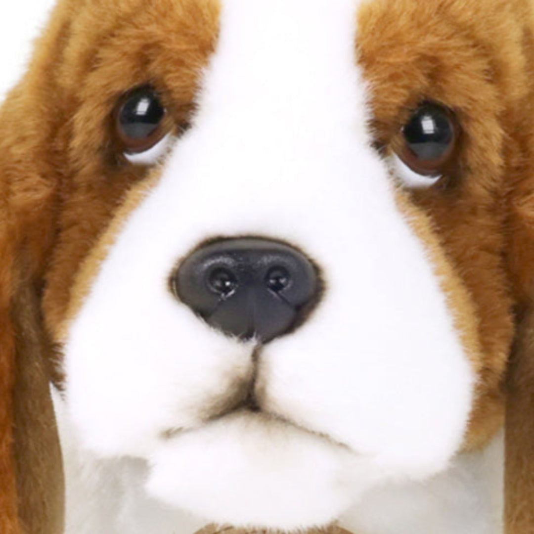 Detailopname van de snuit van de pluchen Basset hond.