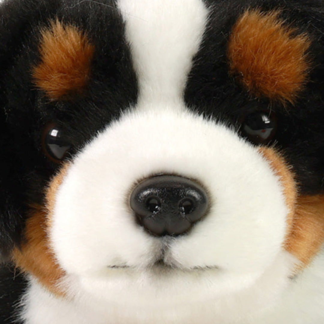 Detailopname van de snuit van de Rappa pluchen Berner Sennen hond.