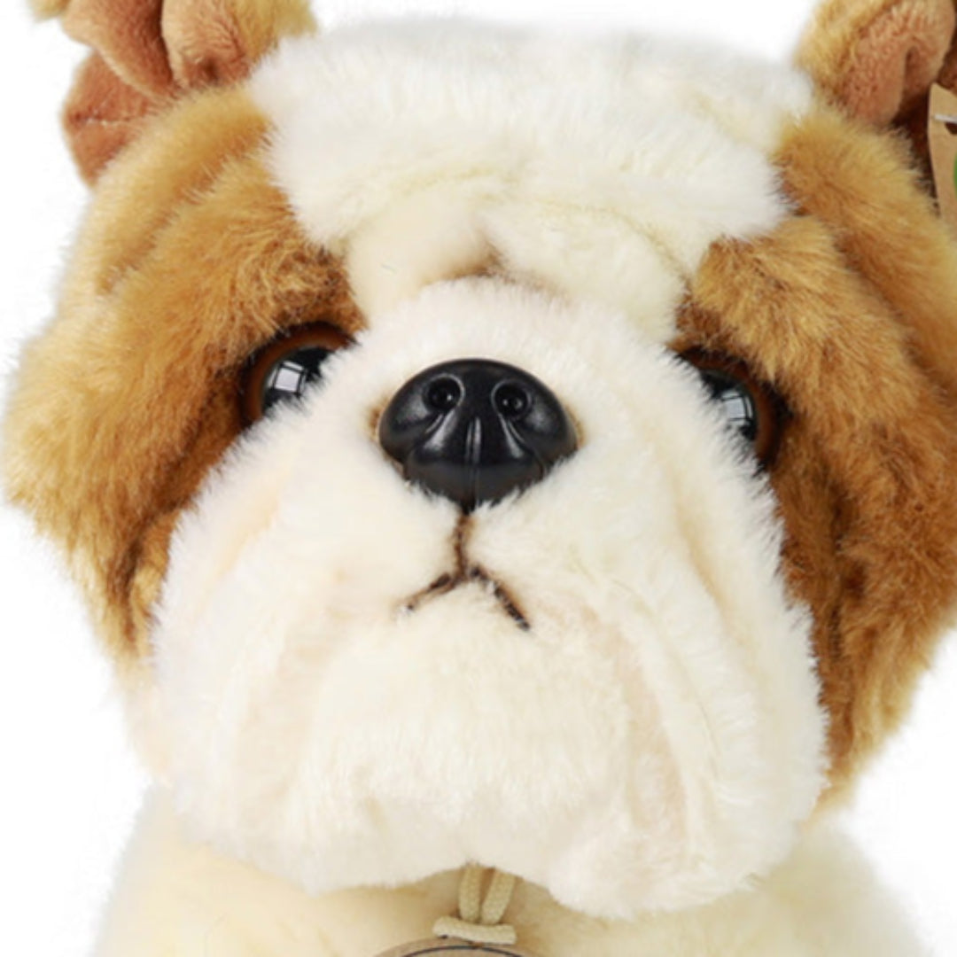 Detailopname van het gezicht van de Rappa knuffelhond bulldog.