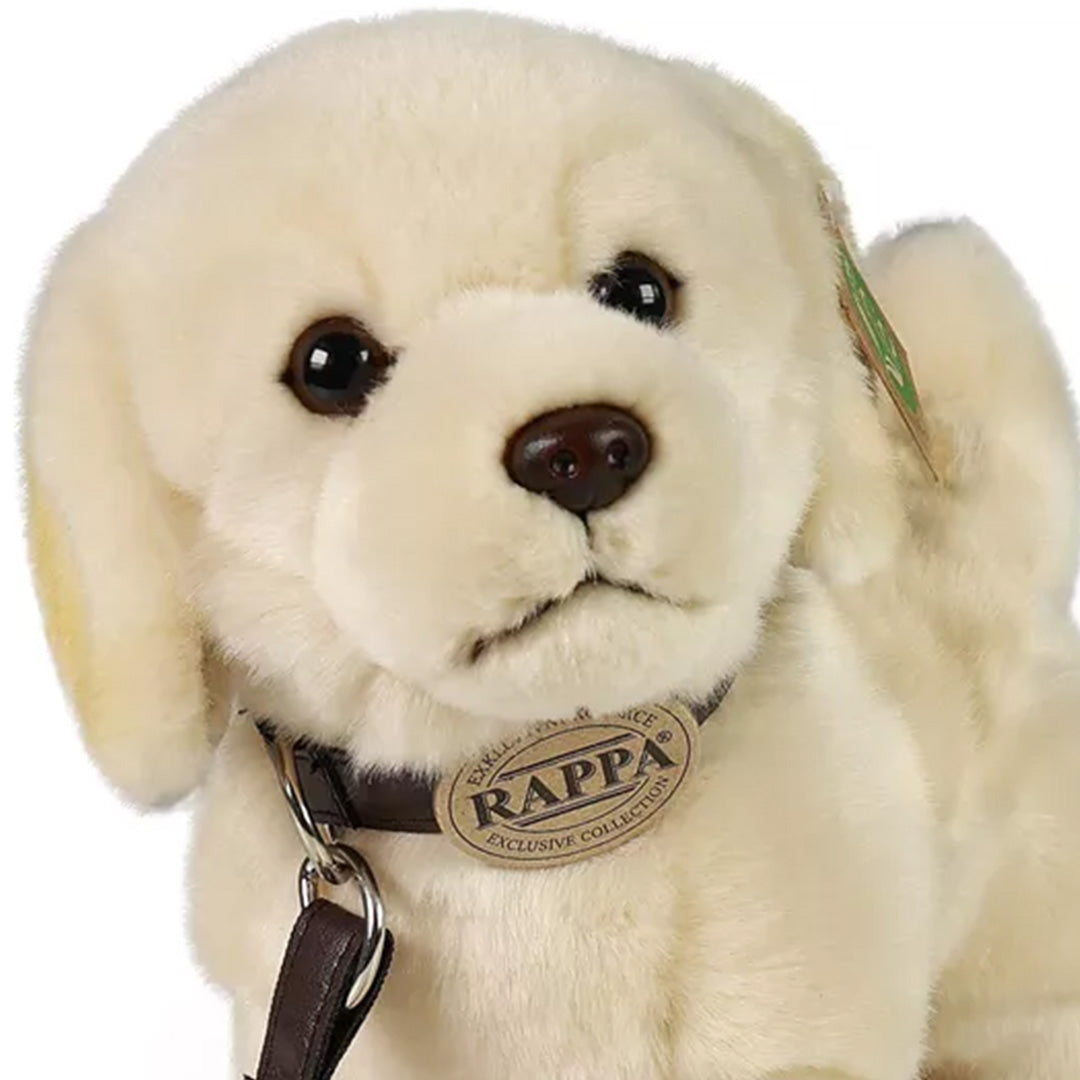 Detail van de kop van de Rappa pluchen golden retriever hond.