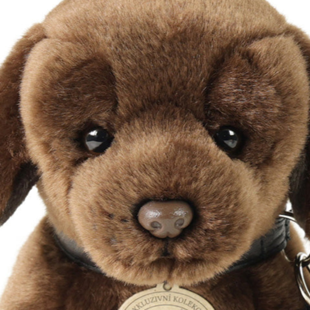 Detailopname van het gezicht van de bruine Rappa pluchen Labrador hond.