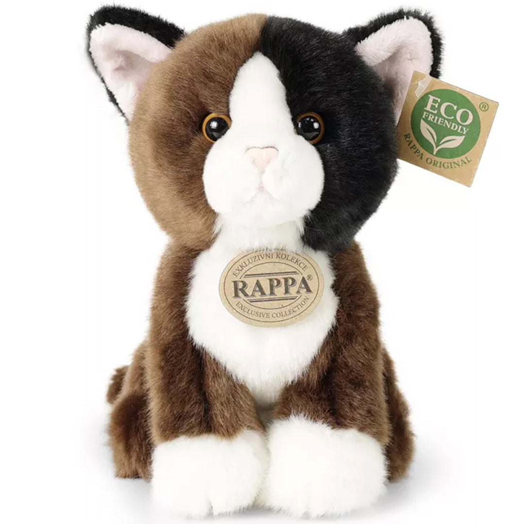 Rappa tricolor pluchen kat, zittend en recht van voren gefotografeerd.