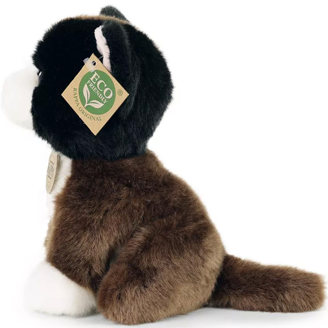 Rappa tricolor pluchen kat, zittend en van de rechterzijkant gefotografeerd.