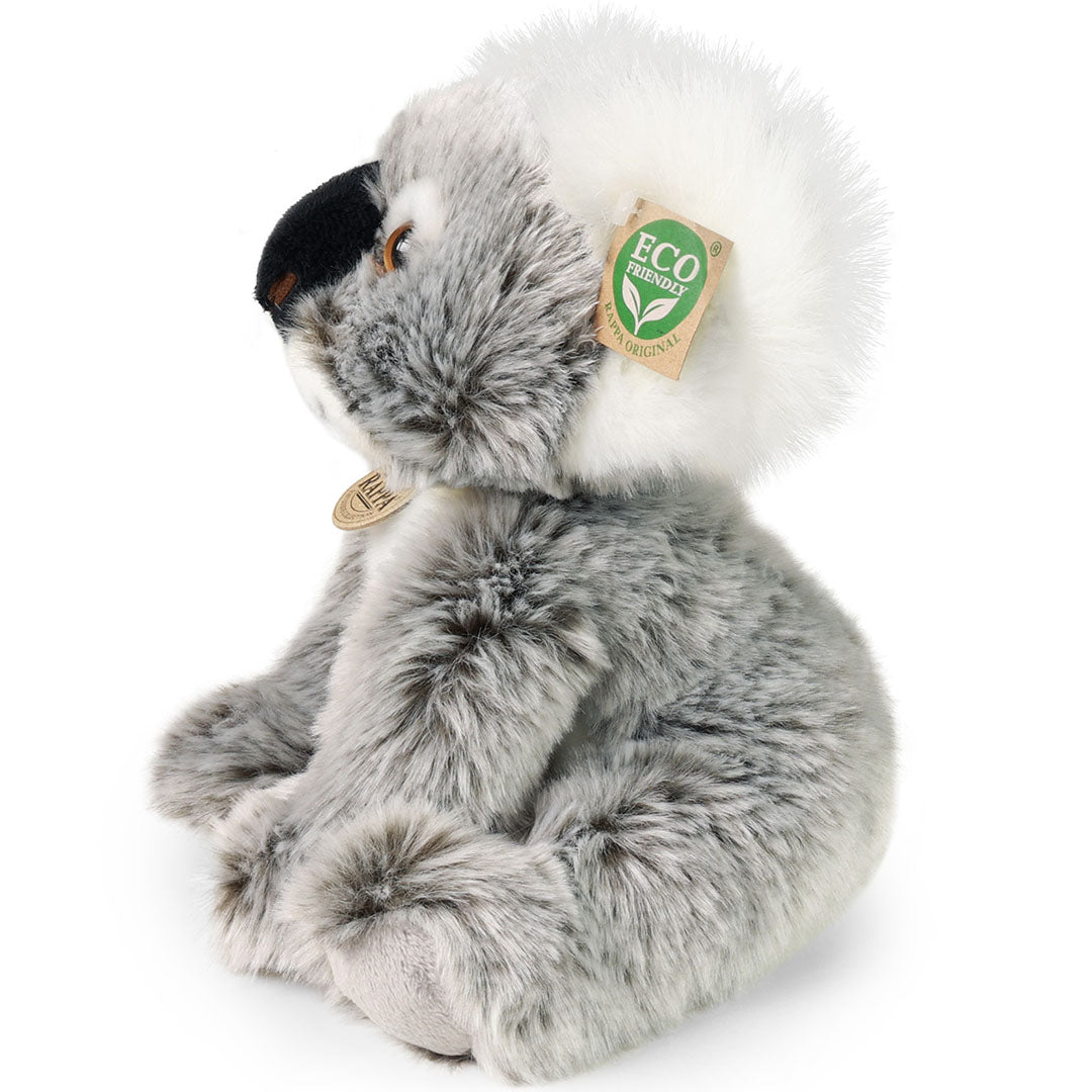 Rappa knuffelkoala zittend, vanaf de rechterzijkant gefotografeerd.