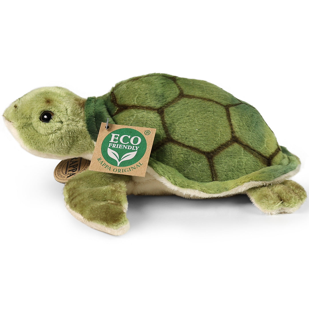 Rappa knuffelwaterschildpad met groene schaal, schuin van voren gefotografeerd.