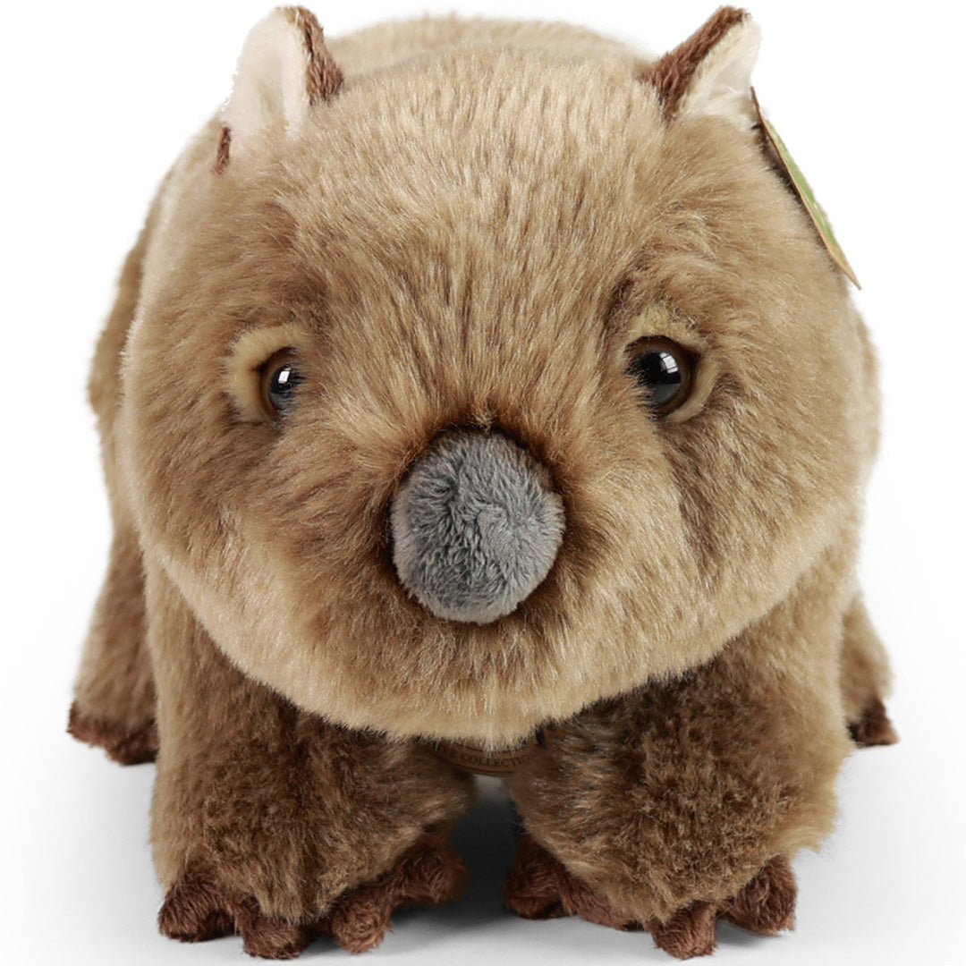 Rappa pluchen wombat knuffel, recht van voren gefotografeerd.