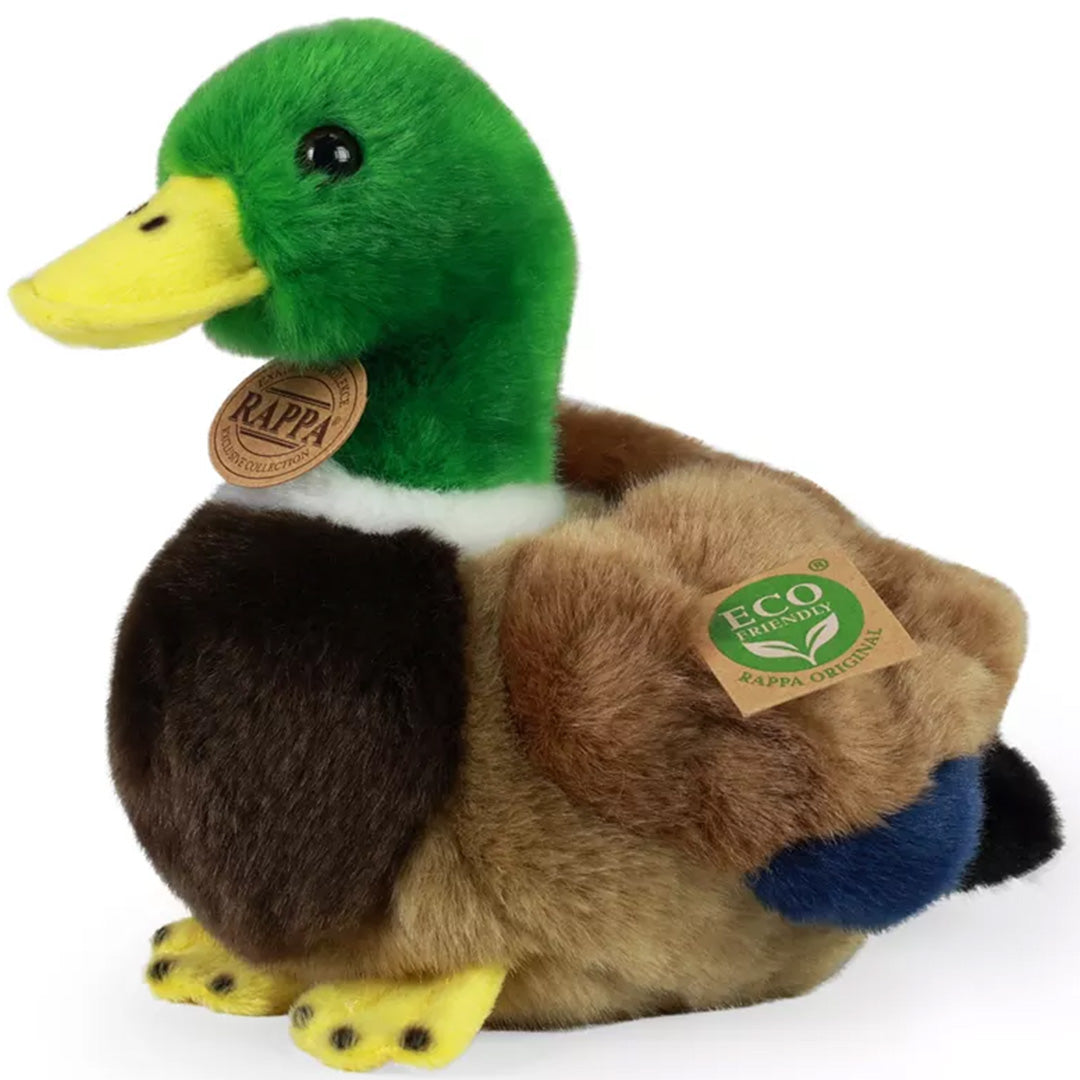 Rappa pluchen eend met groene kop en bruin lichaam, schuin van voren gefotografeerd.