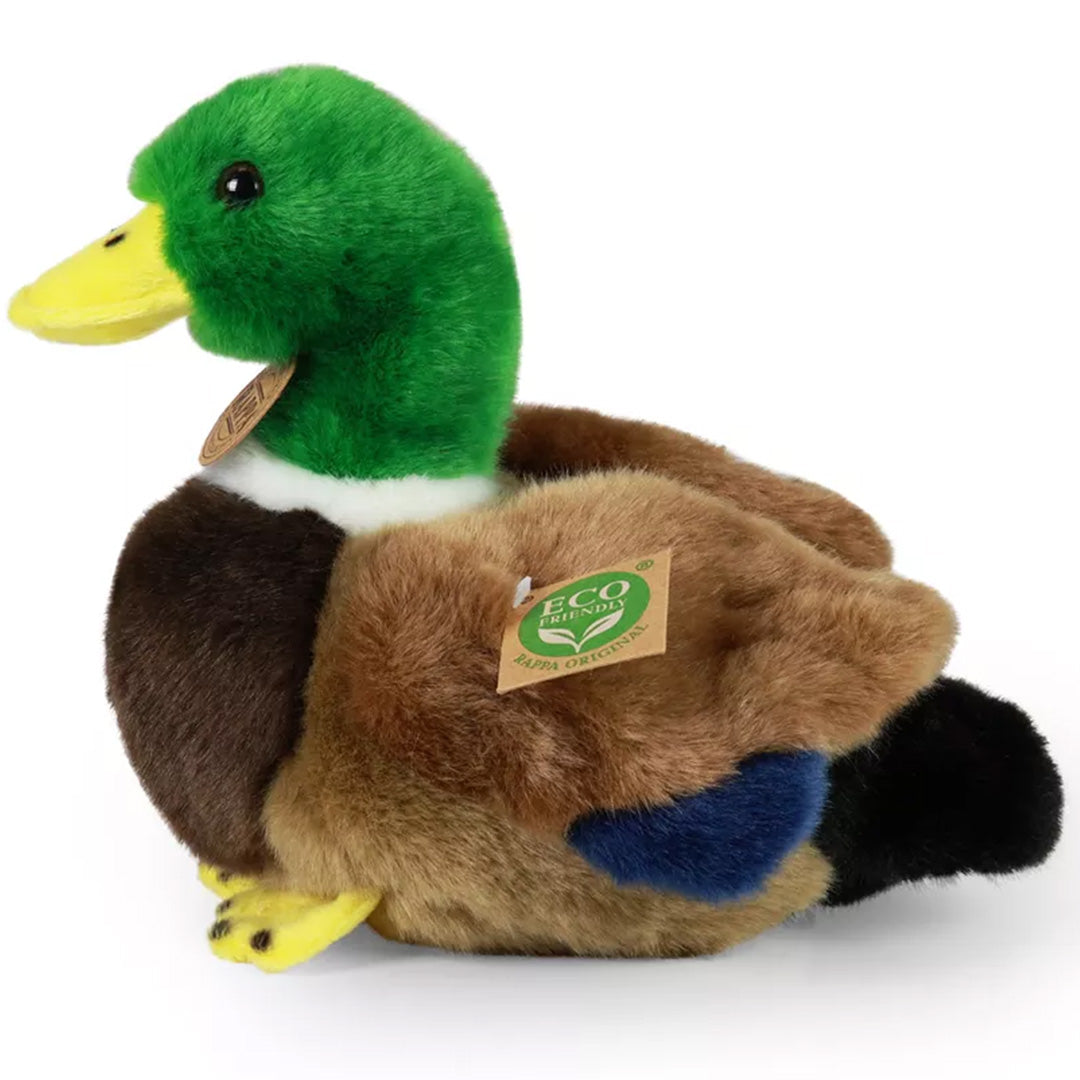 Rappa pluchen eend met groene kop en bruin lichaam, van de zijkant gefotografeerd.