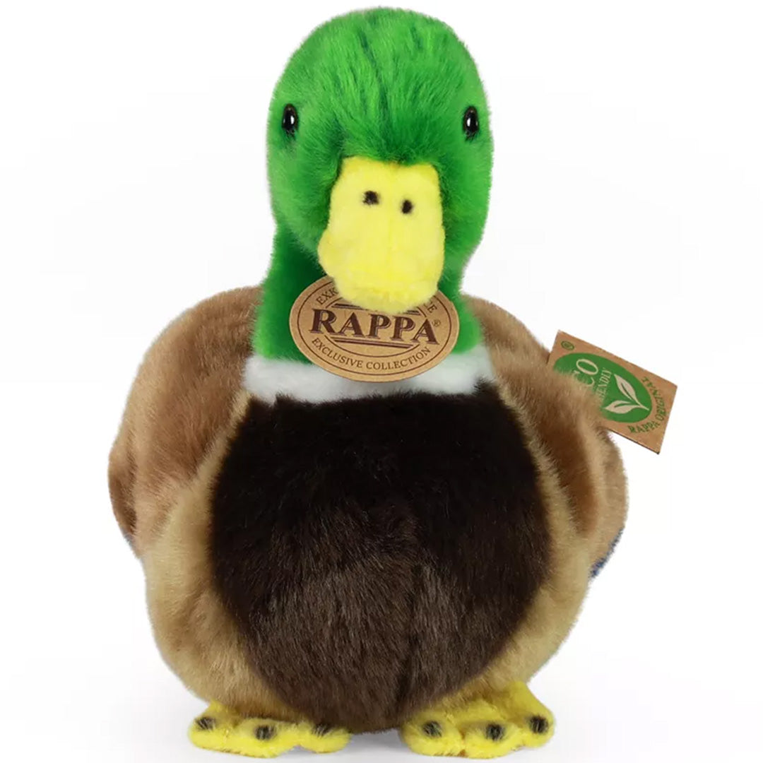 Rappa pluchen eend met groene kop en gele snavel, recht van voren gefotografeerd.