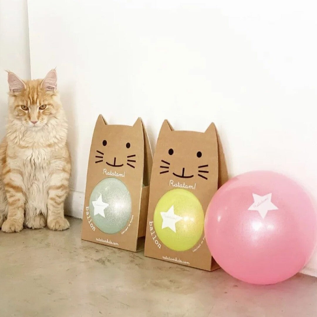 Een kat zit naast twee Ratatam speelbal verpakkingen en een roze speelbal.