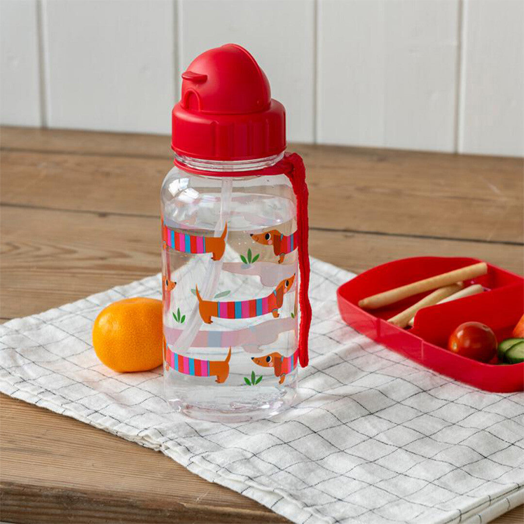 Rex London kinder drinkfles met teckelpatroon, gevuld met water, naast een lunchbox met groenten op een houten tafel.