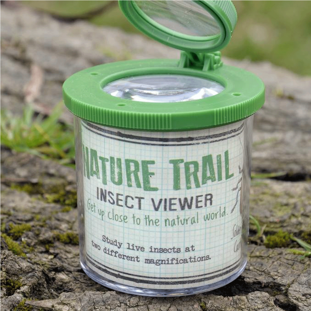 Rex London insectendoosje met vergrootglas op een boomstam in de natuur.