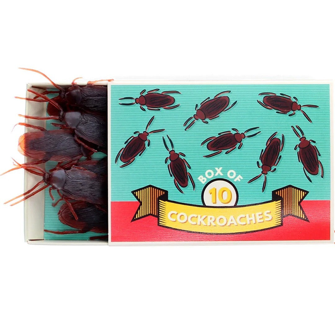 De verpakking van de Rex London goochelaccessoire met neppe kakkerlakken, een doosje met de tekst "Box of 10 Cockroaches".