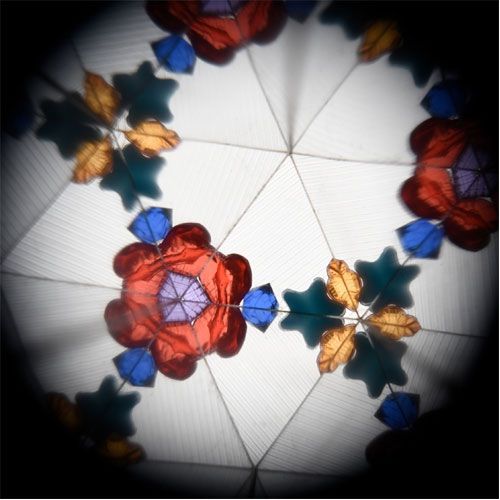 Het kleurrijke, symmetrische patroon van bloemen en bladeren zoals gezien door de caleidoscoop.