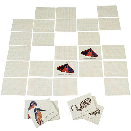 Nature Trail memory game kaarten liggen verspreid met twee paren van een rode mot en een ijsvogel.