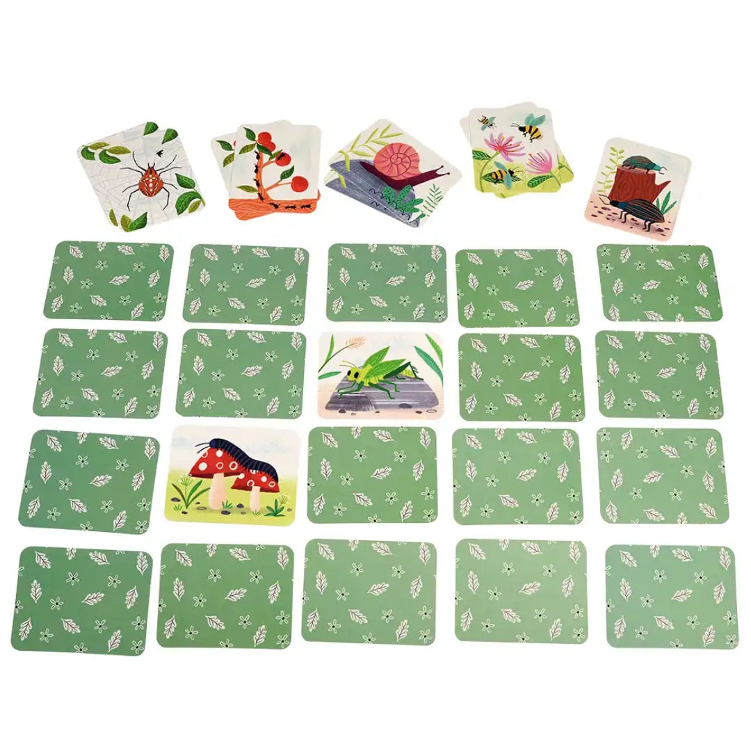 Rex London Wonders of Nature memory game kaarten liggen verspreid, deels met de groene achterkant en deels met afbeeldingen van insecten.
