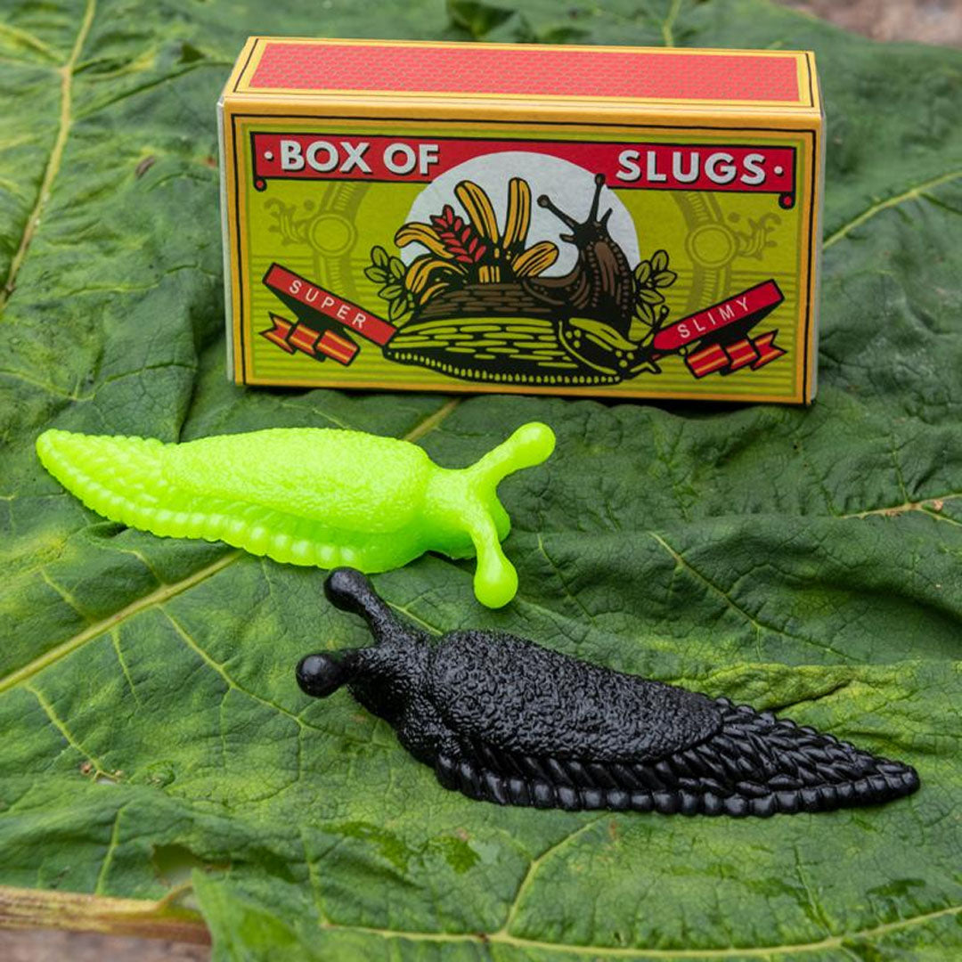 Rex London sensorisch speelgoed: de 'SLUGS' verpakking met een zwarte en groene plakkerige slak op een groot groen blad.