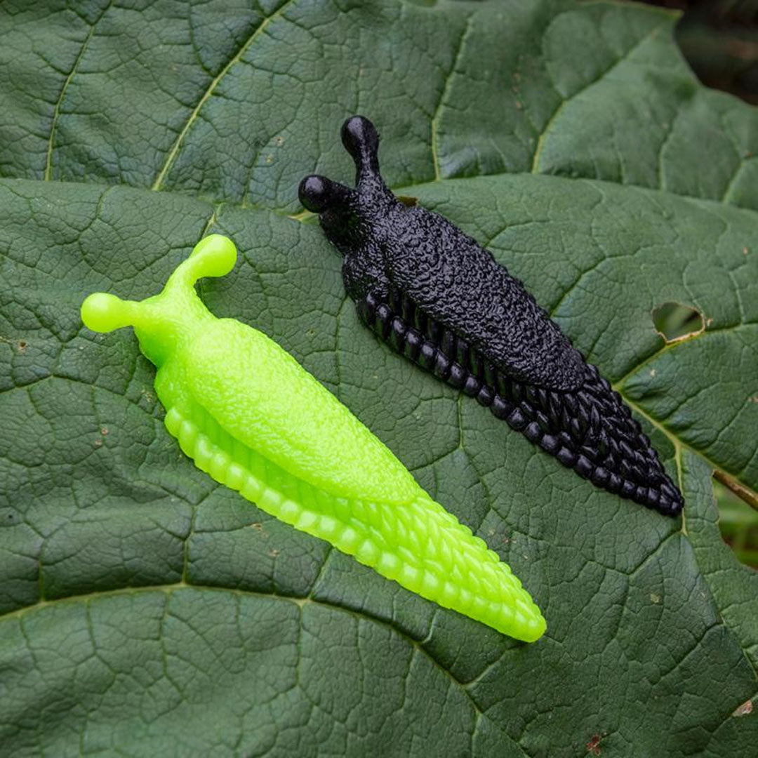 Een zwarte en een groene plakkerige slak liggen op een groot groen blad.