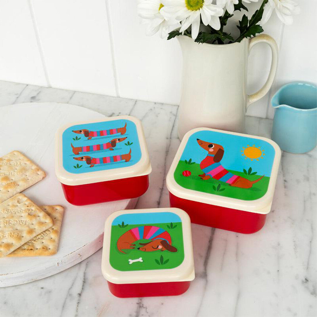Drie Rex London snackdoosjes met teckelillustraties op een aanrecht met crackers en een vaas met bloemen.