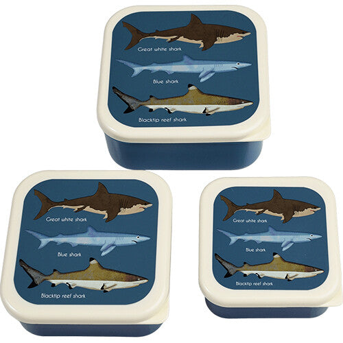 Drie blauwe Rex London snackdoosjes met haaienprint, in verschillende formaten.