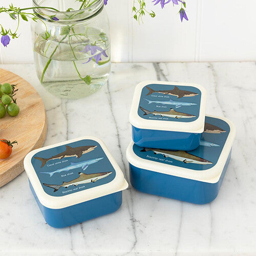 Twee blauwe Rex London snackdoosjes met haaienprint op een aanrecht, met een vaas bloemen en fruit op de achtergrond.