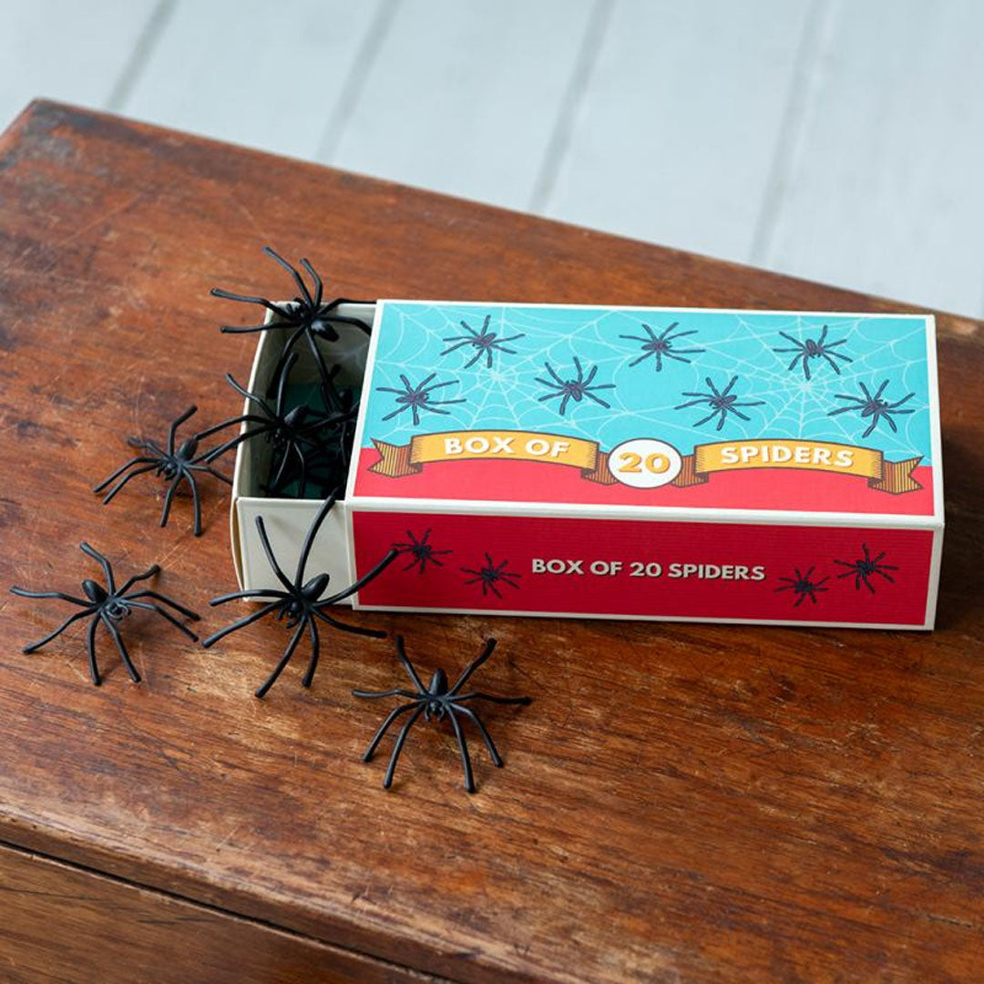Rex London doosje met zwarte plastic spinnen, deels uitgestrooid op een houten tafel.