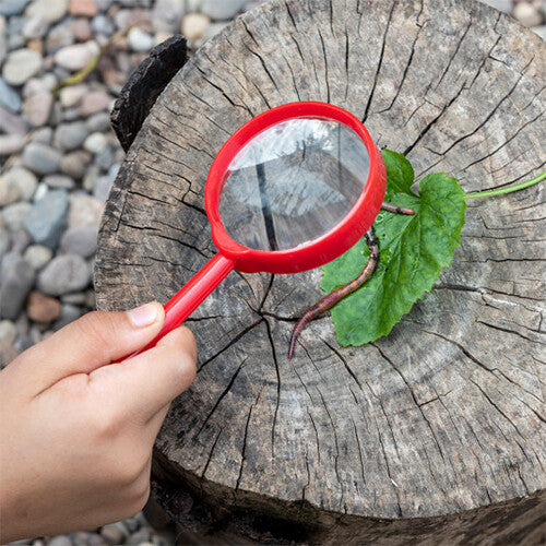 Een kind gebruikt het rode educatieve vergrootglas om een blad en een worm op een boomstronk te bekijken.
