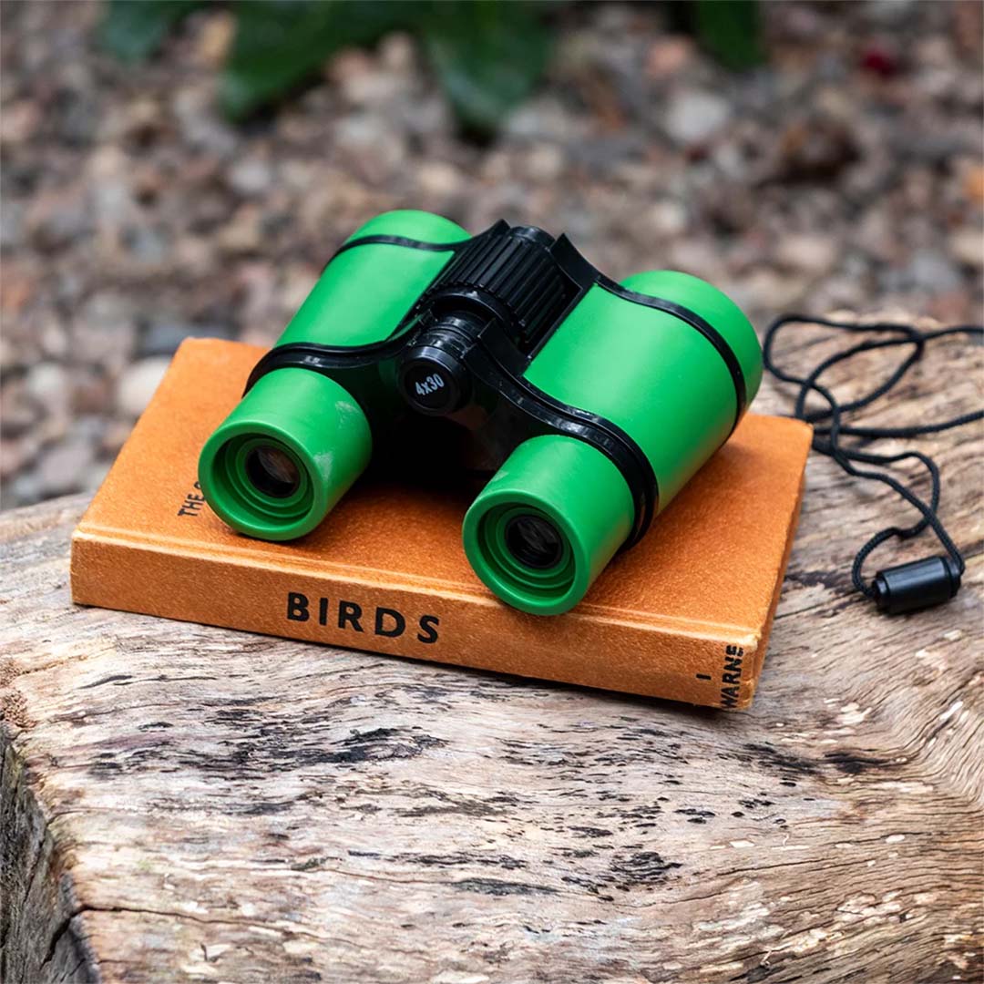 Rex London groene speelgoed verrekijker op een bruin boek met de titel 'BIRDS' op een houten ondergrond.