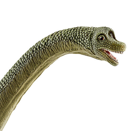 Detailfoto van de kop en nek van de groene Schleich Brachiosaurus dinosaurusspeelgoedfiguur.