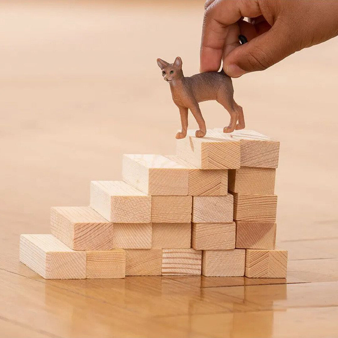 Een hand plaatst het Schleich Abessijn kattenfiguurtje op een stapel houten blokken.
