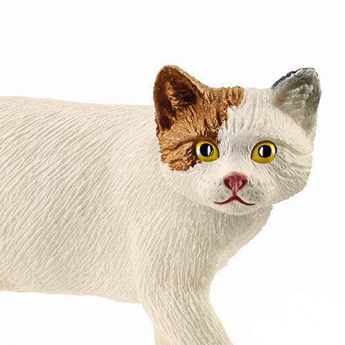 Detailopname van de kop van het dierenfiguurtje van een Amerikaanse korthaar kat.