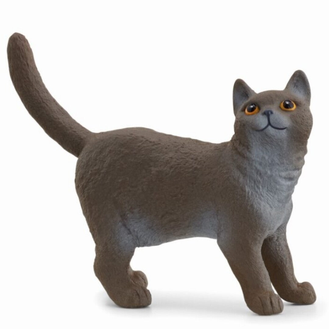 Schleich dierenfiguurtje van een grijze Britse Korthaar kat die omhoog kijkt.