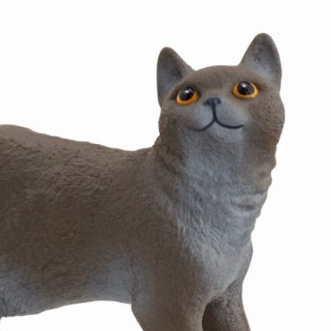 Detail van het Schleich dierenfiguurtje van een grijze Britse Korthaar kat.