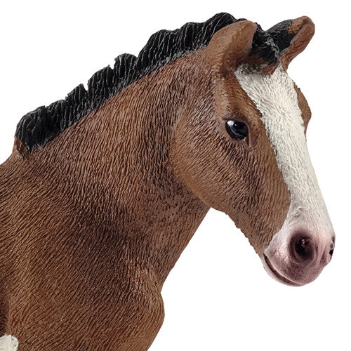 Detailopname van de kop en hals van het Schleich Clydesdale veulen.