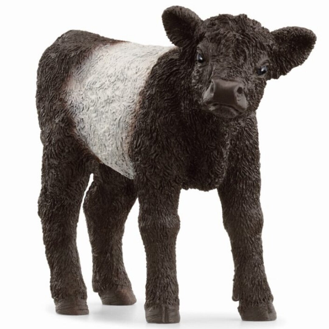 Schleich speelgoedfiguur van een zwart Galloway kalf met een witte band.