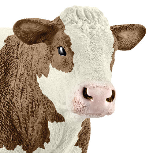 Detailopname van de kop van het Schleich dierenfiguurtje van een bruin-wit gevlekte koe.