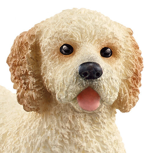 Een close-up van de kop van de beige Goldendoodle dierenfiguur.